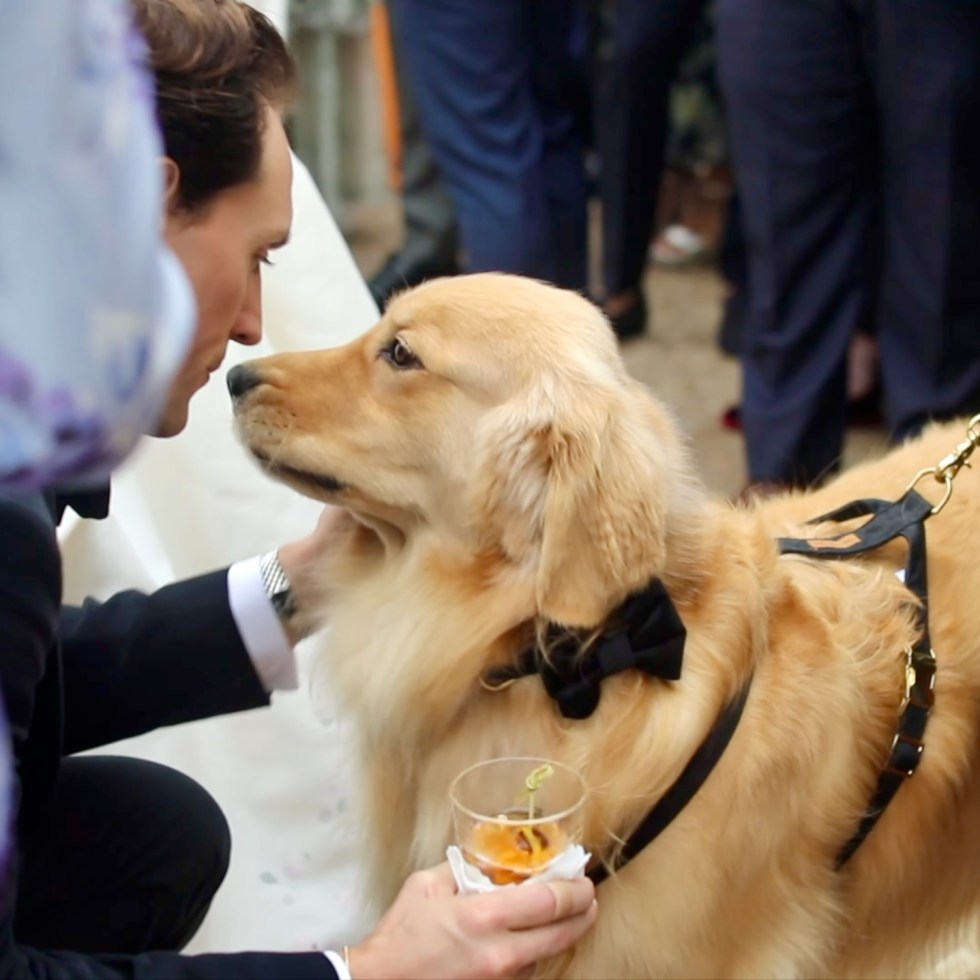 The groom in his wedding and his beloved dog who makes him fall in love with his bride.